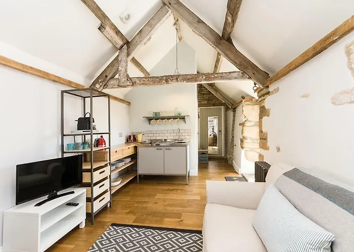 Shellbraes Studio